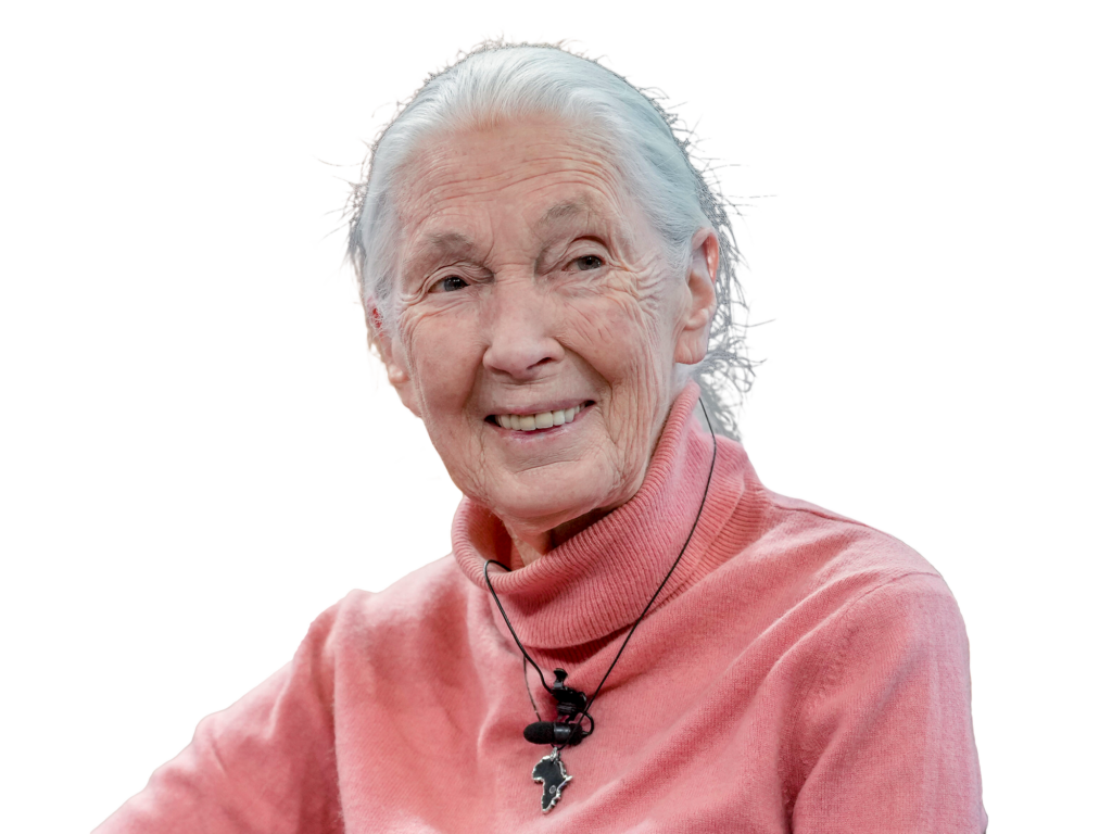 Jane Goodall 25274666354675