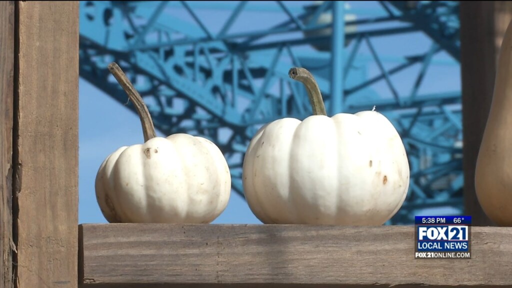 First Ever Gourd Days Takes Place At The Decc