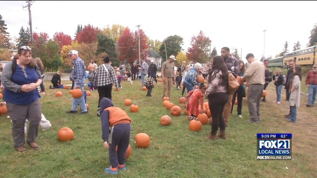 Pumpkin Train