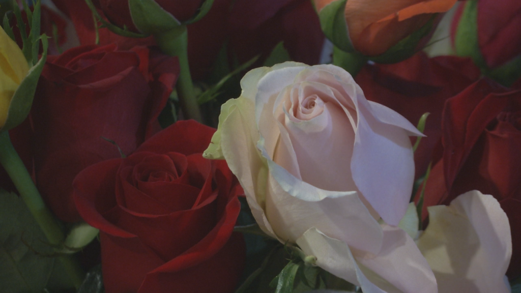 Duluth Rotary Club Rose Day