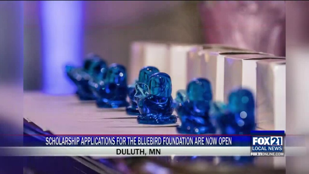 Scholarship Applications For The Bluebird Foundation Are Now Open