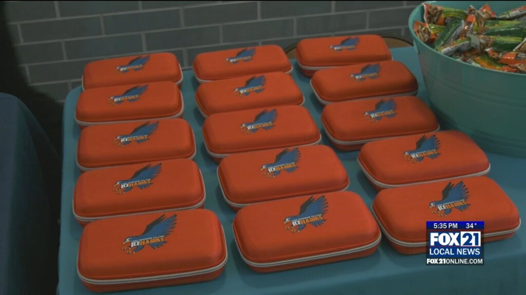 Winter Safety Fair Lsc