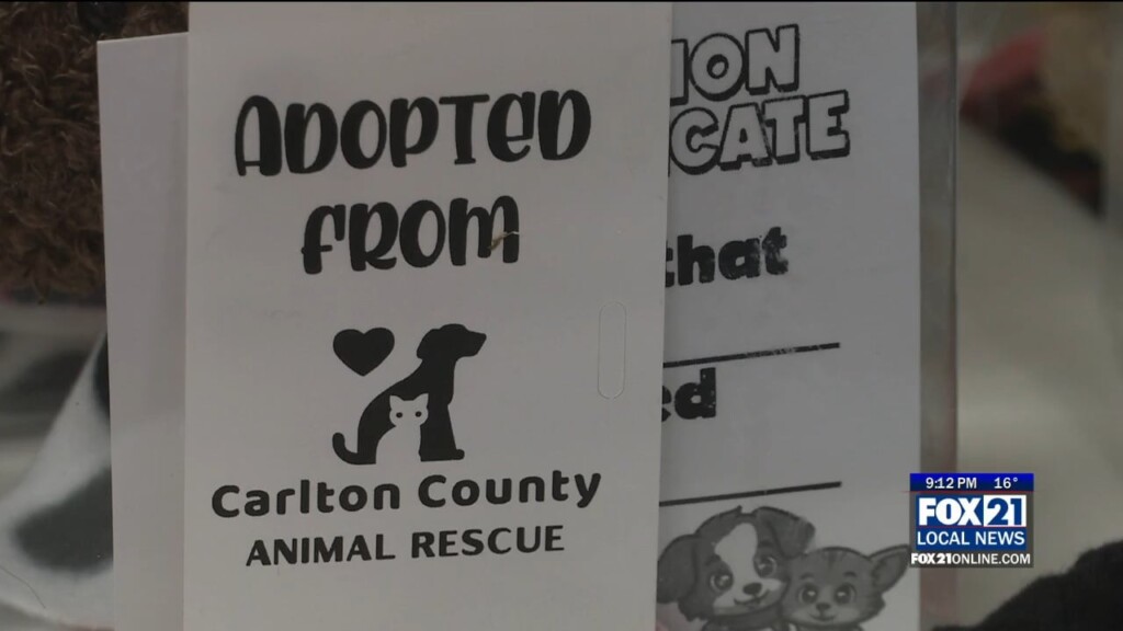 Carlton County Animal Rescue Hosts Open House For Interested Families