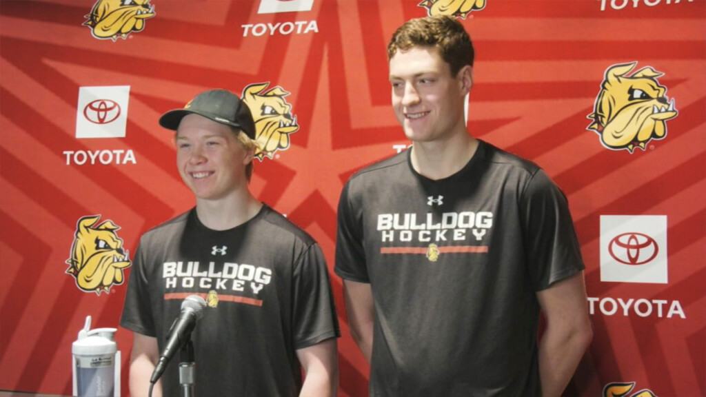 Northernstarmaxplanteadamkleber