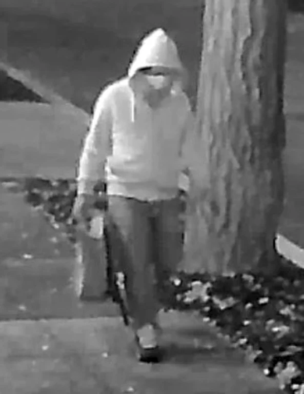 January 5 Pipe Bomb Suspect