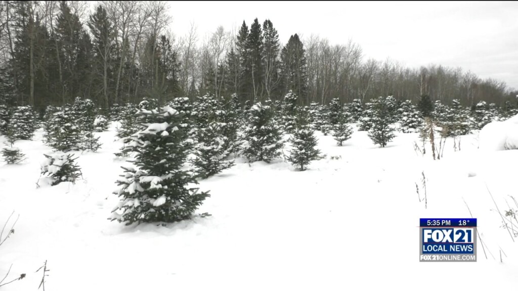 Farmer Doug's Tree Farm Gaining Statewide Attention
