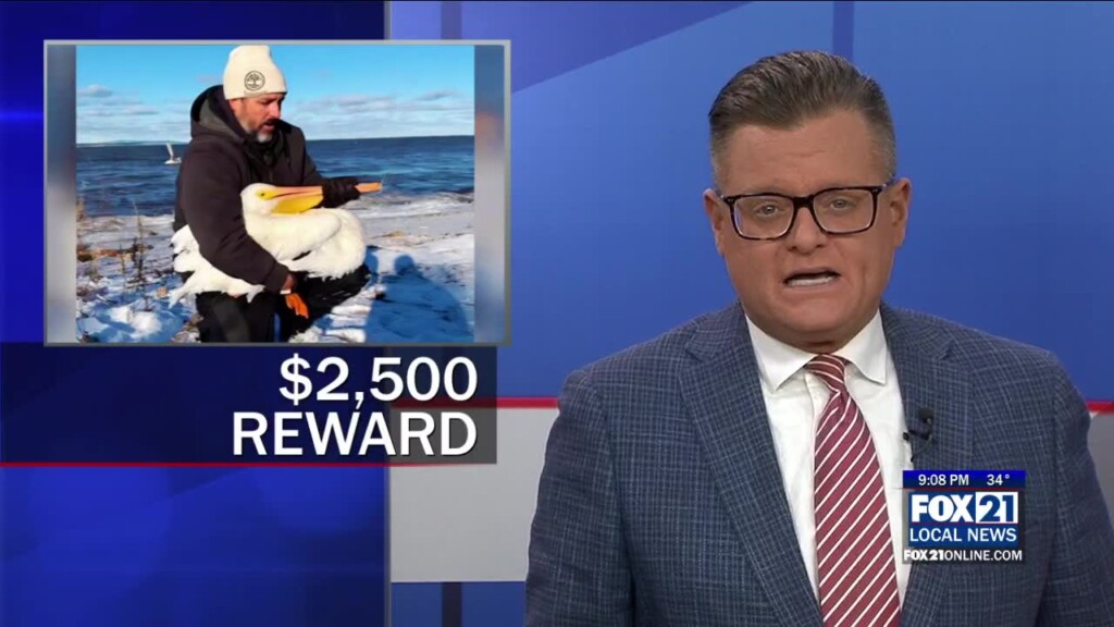 Reward Offered For Information On Pelican Shooting