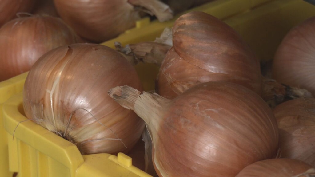 Brule River Farm And Superior School District Continue Partnership