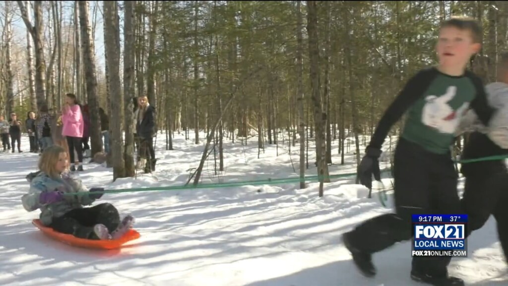 2nd And 3rd Graders Go "sled To Sled" At 19th Annual Ikidarod Race