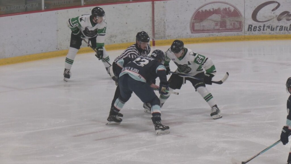 Wilderness Web 21326