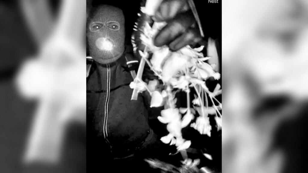 Nancy Guthrie suspect