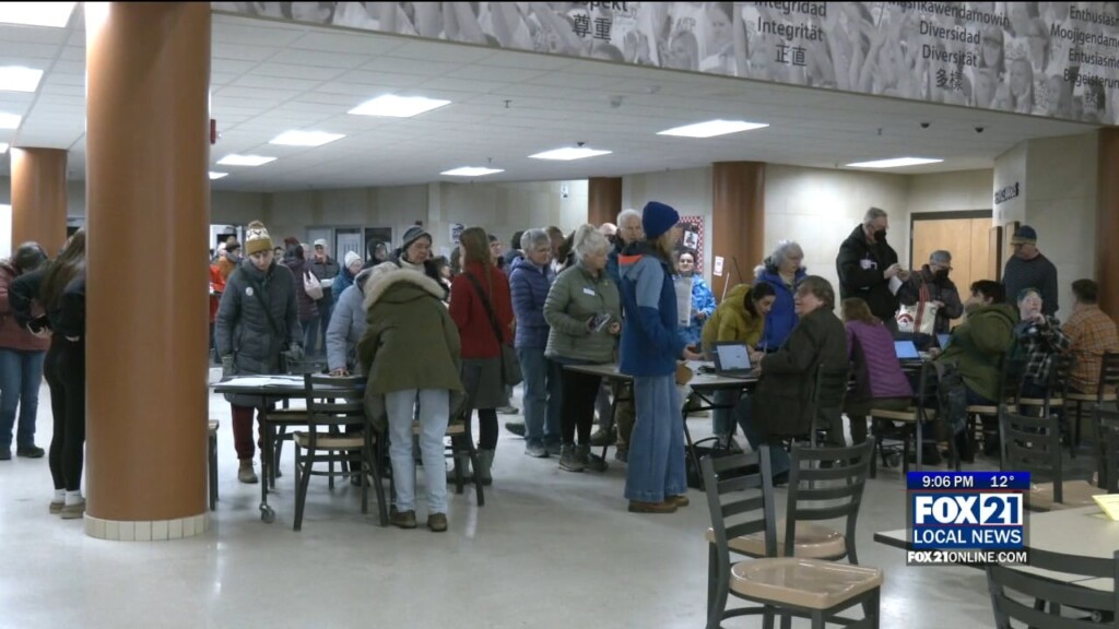 Dfl Party Meets For Annual Caucus