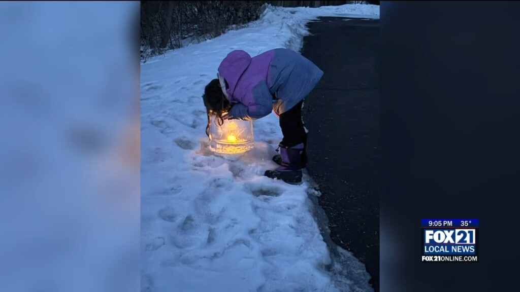 Lake Superior Zoo Illuminates Winter Nights
