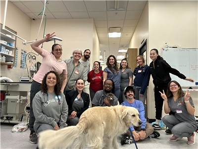 Bond Vet Launches “bond To The Rescue” Partnership With Animal Care Centers Of Nyc