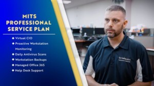 Bit-Wizards Professional Service Plan