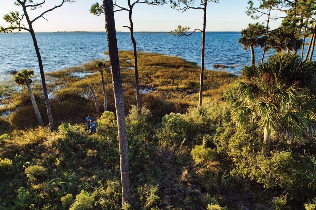 St Joseph Bay State Buffer Preservetnc17026 171024 1486 Web