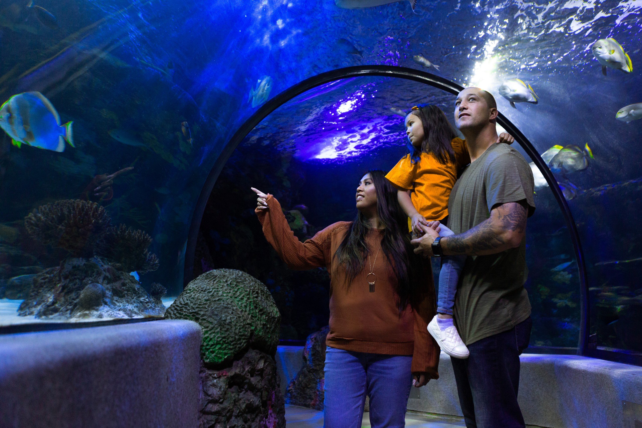 Discover the Virginia Aquarium & Marine Science Center