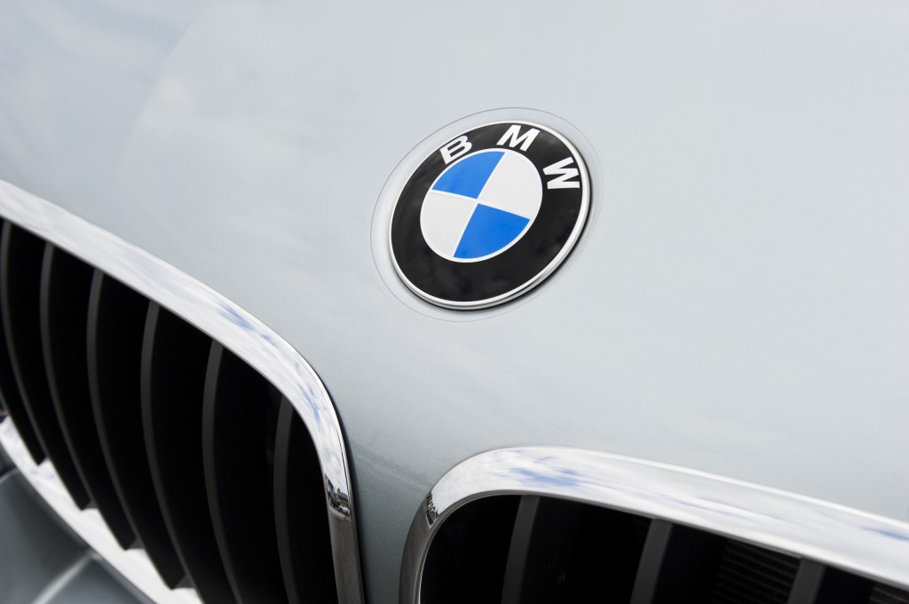 Bmw Emblem And Kidney Grille