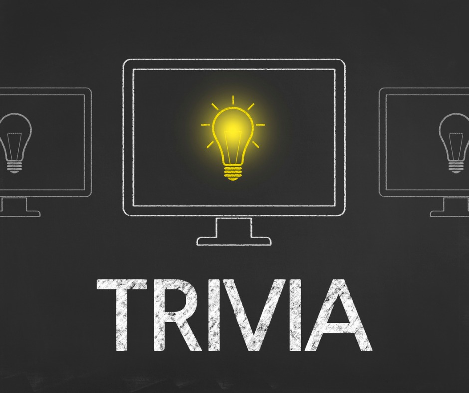 Trivia Business Chalkboard Background Picture Id700783022