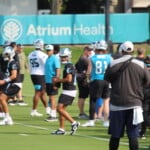 Panthers Otas Qbs