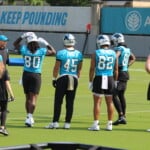 Panthers Otas Fbs And Tight Ends