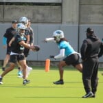 Panthers Otas Young Handoff Brown