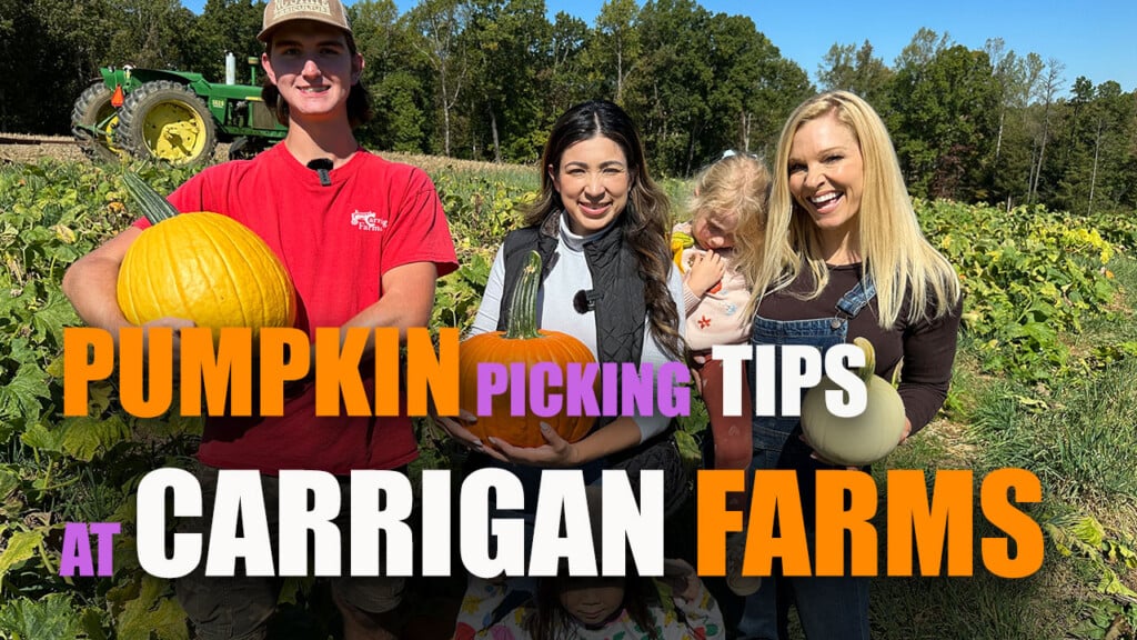 Carrigan Farms Pumpkins