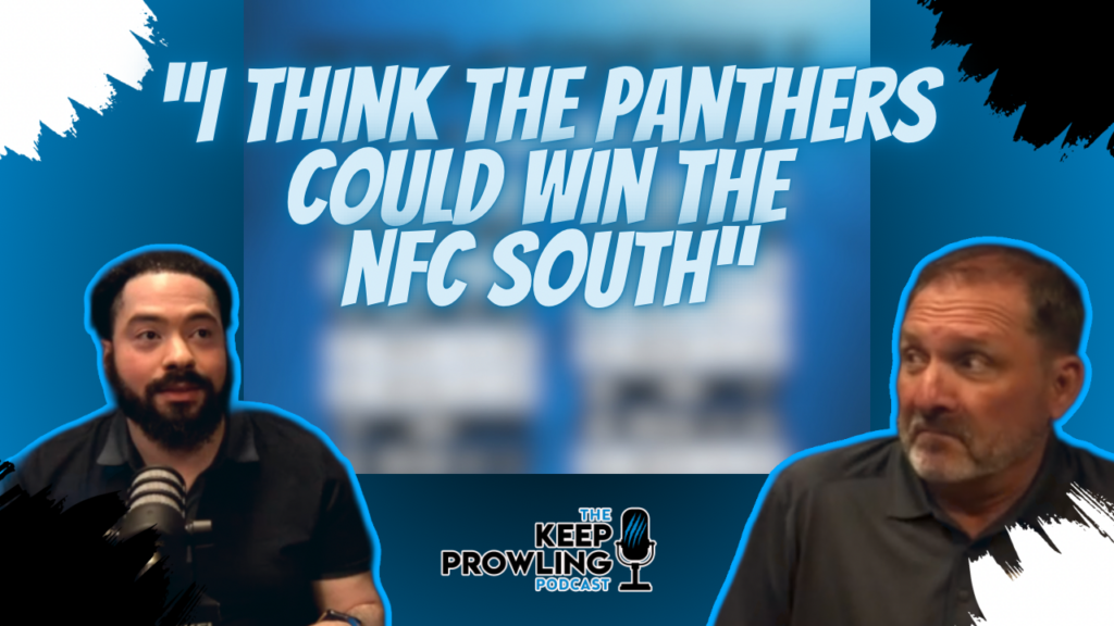 The Panthers Will Win The Nfc South Thumbnail