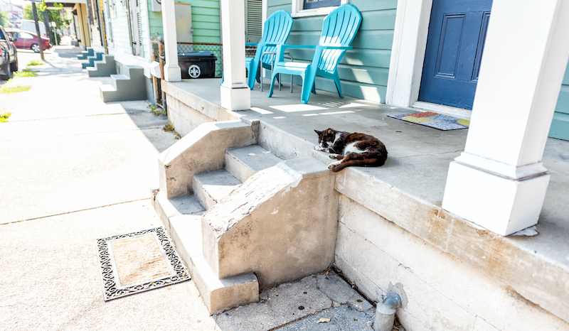 Stray Black And White Cat Sleeping On Porch Sidewalk Street In New Orleans, Louisiana By House Home Entrance Steps