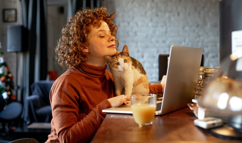 Young Woman With Cat Using Laptop