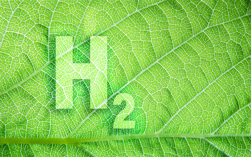 Green Hydrogen Energy Symbol On A Leaf Texture. Ecological Concept