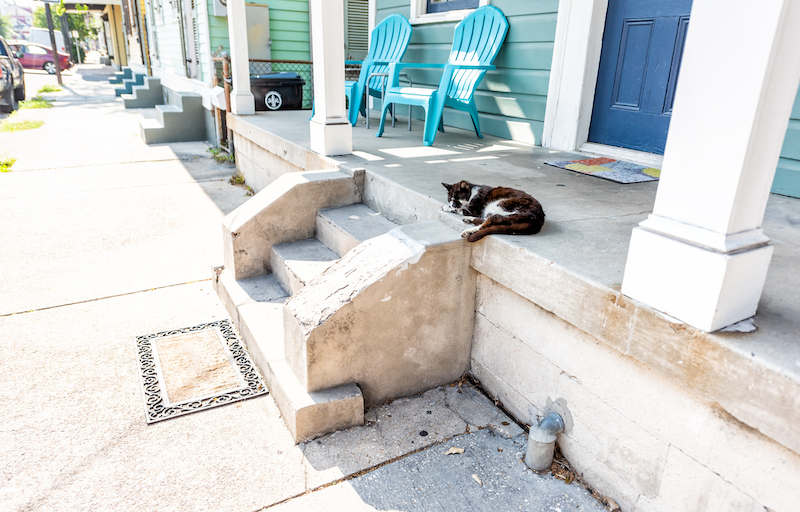 Stray Black And White Cat Sleeping On Porch Sidewalk Street In New Orleans, Louisiana By House Home Entrance Steps