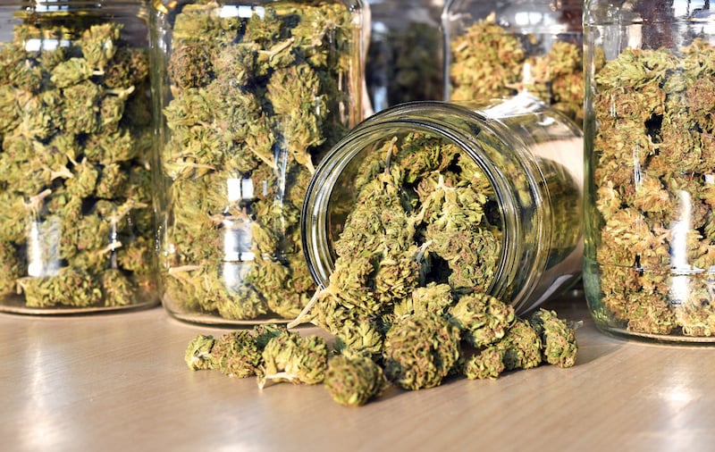 Dry And Trimmed Cannabis Buds, Stored In A Glass Jars