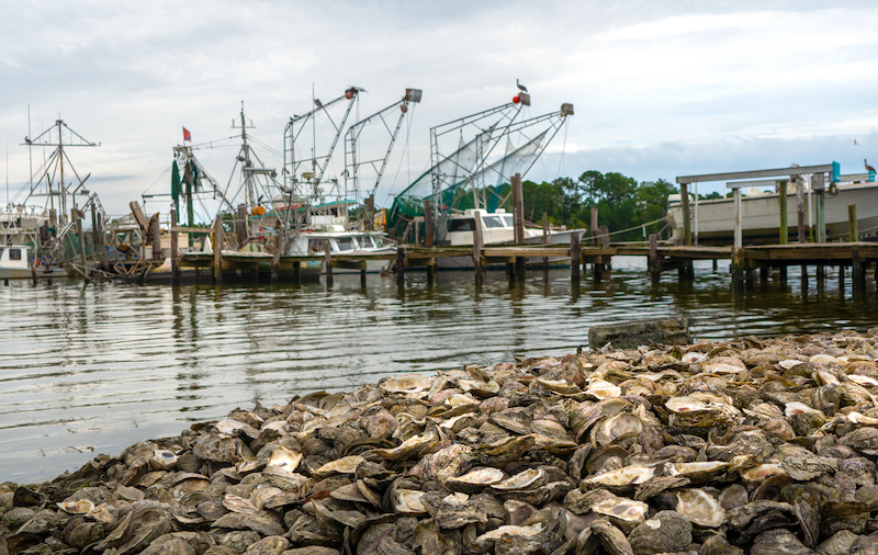Fishing Village With Oysters And Shrimp Boats In Alabama Usa