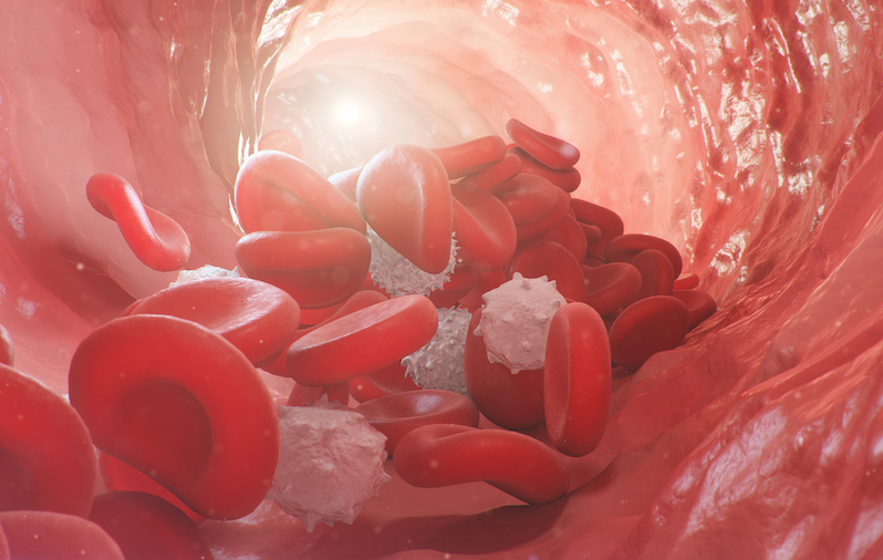 3d Illustration Of Red Blood Cells Inside An Artery, Vein. The Flow Of Blood Inside A Living Organism. Scientific And Medical Microbiological Concept. Enrichment With Oxygen And Important Nutrients.