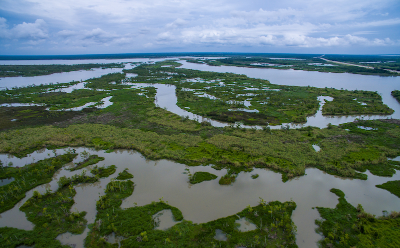 Wetlands Marsh Delta Near Texas Louisiana Border