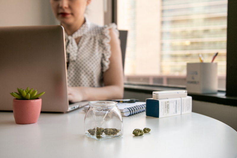 Female Cannabis Entrepreneur Working On Marketing For Marijuana Business In Bright, Soft Lit Office