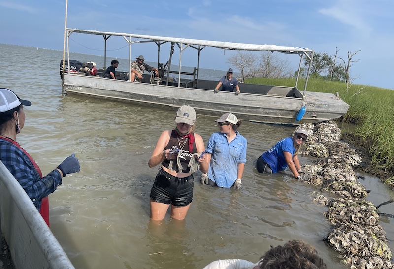 Crcl And Volunteers Build An Oyster Reef Using Shell Recycled By New Orleans Restaurants