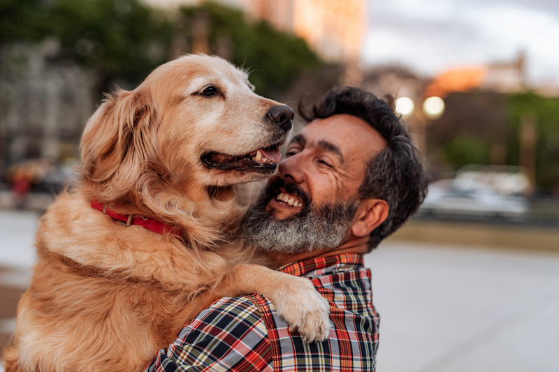 Mature Man With Golden Retriever Dog Hugging And Sharing Love