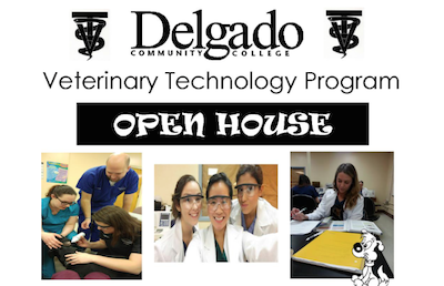 Delgado's Veterinary Technology Program To Host Open House - Biz New Orleans