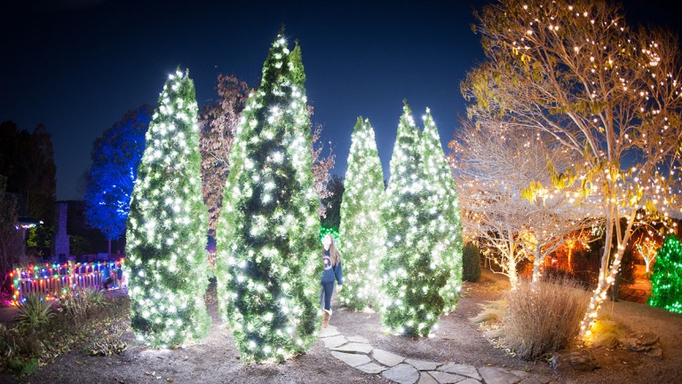 Must-See Holiday Light Shows Across North Carolina: 2020 - Charlotte ...