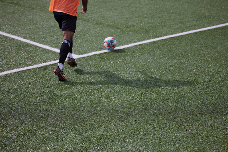 Ford Field turf replacement to begin May 1