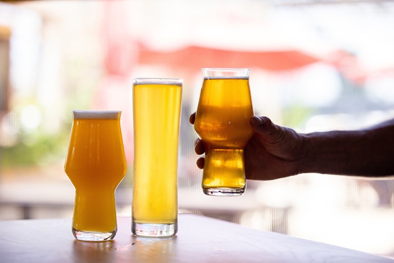 Where to Go ApplePicking Near Charlotte 2021 Charlotte Magazine