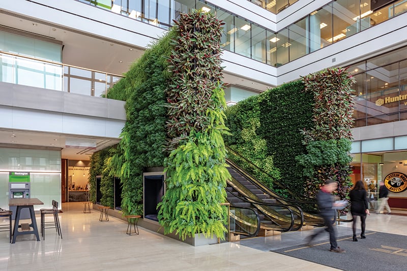 Huntington Living Wall 01