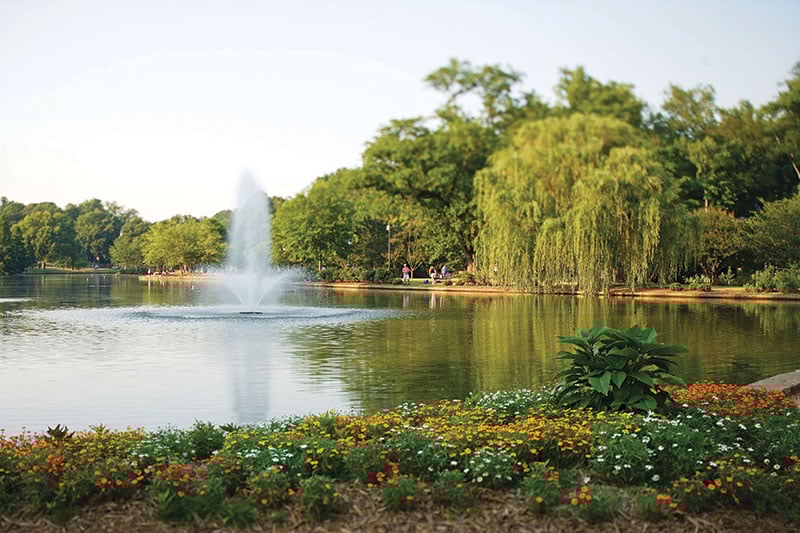 2007 Freedom park