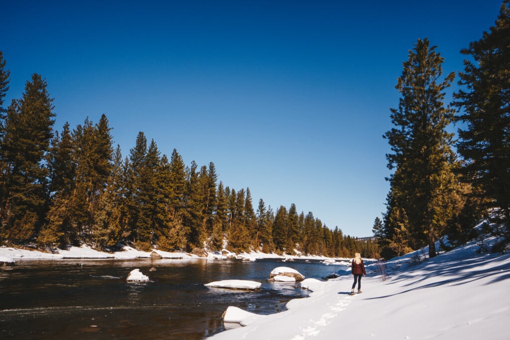 Courtesy, Paws Up Montana