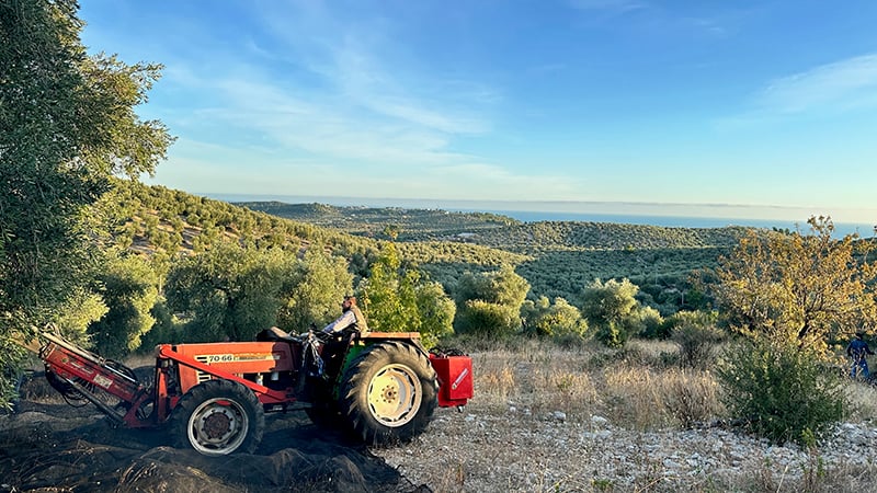 Olio Della Valle Farm