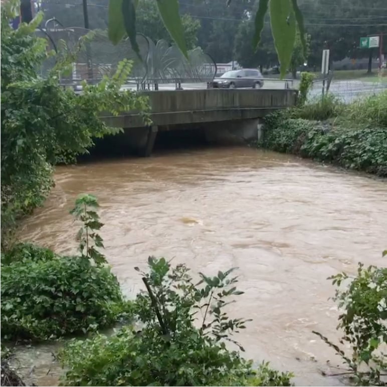 Duke University Press - When Rains Became Floods