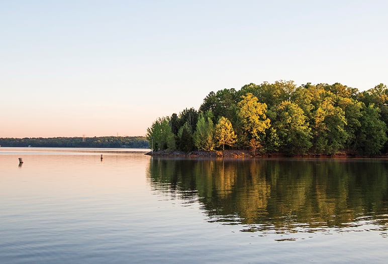 4 Things to Do on Lake Wylie - Charlotte Magazine