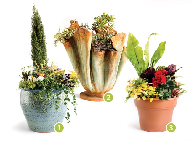 Container Gardening Charlotte Magazine